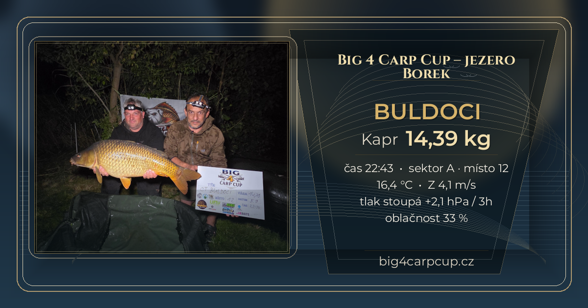 share card BULDOCI