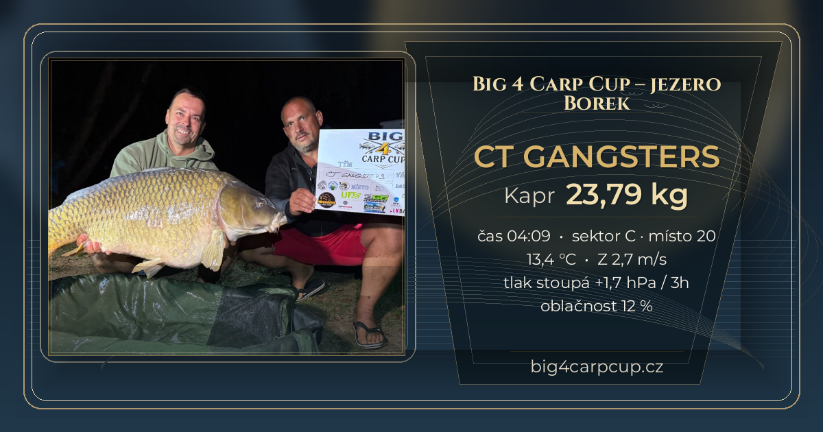 share card CT GANGSTERS