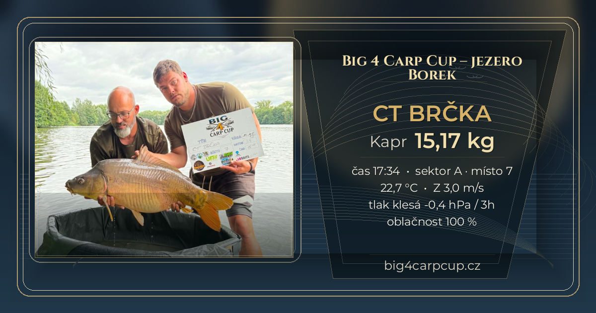 share card CT BRČKA