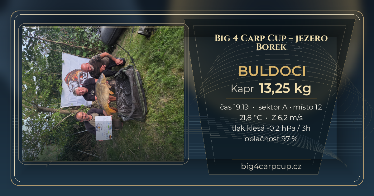 share card BULDOCI