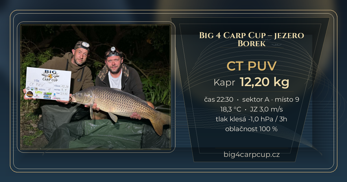 share card CT PUV