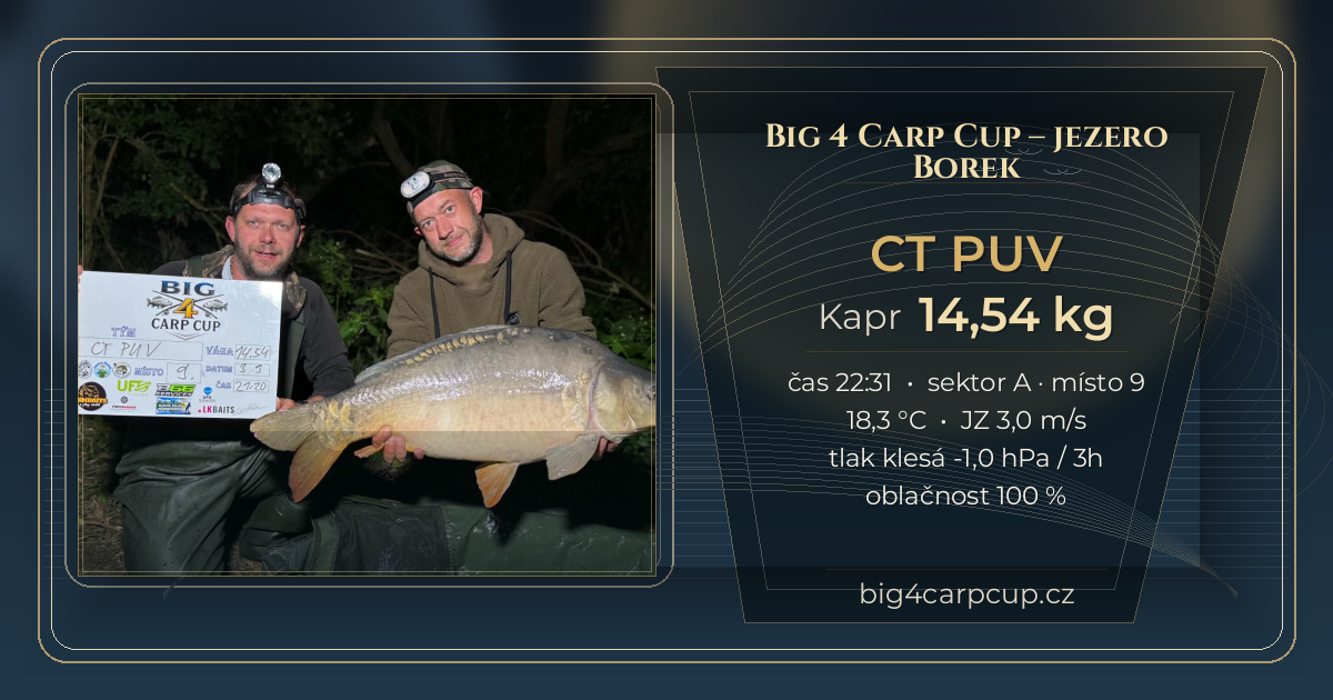 share card CT PUV