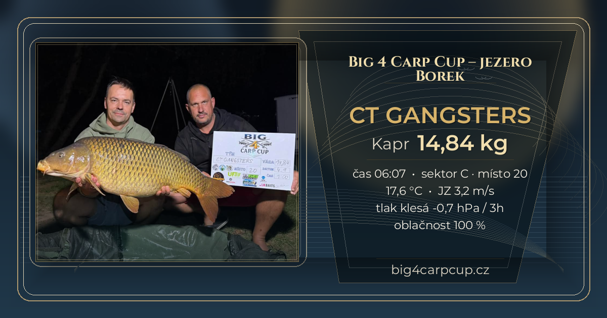 share card CT GANGSTERS