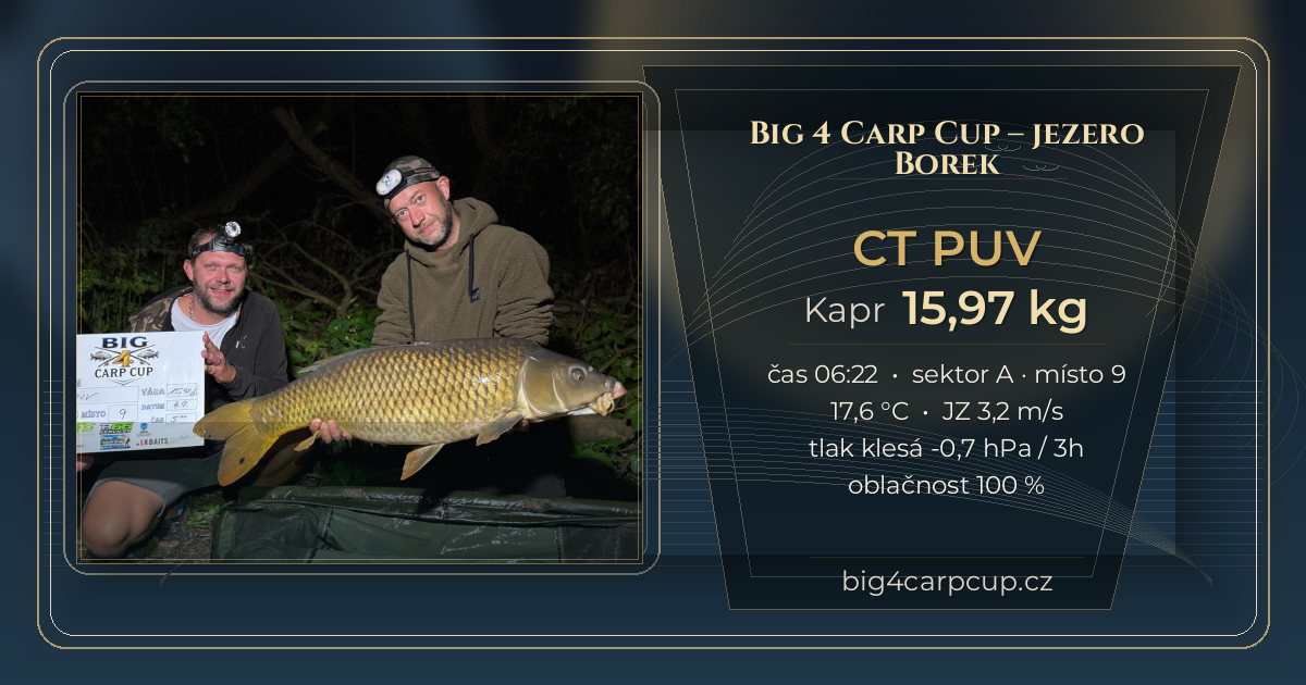 share card CT PUV