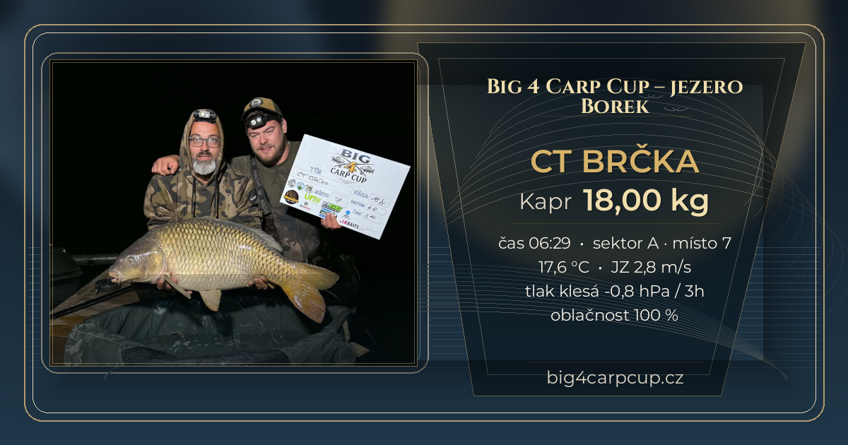 share card CT BRČKA