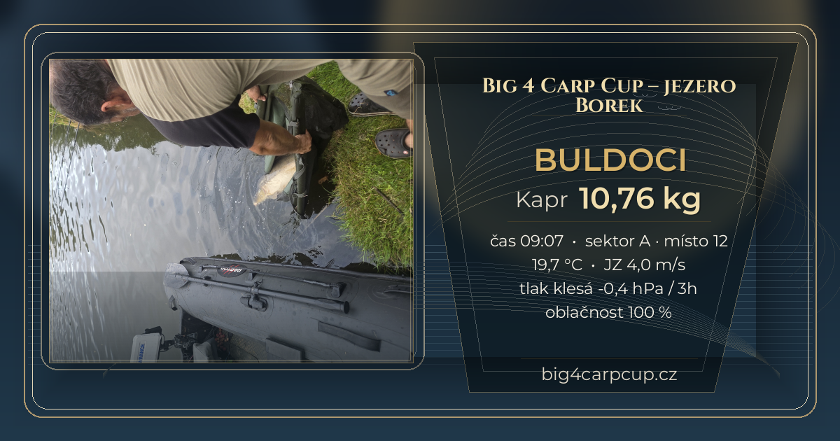 share card BULDOCI