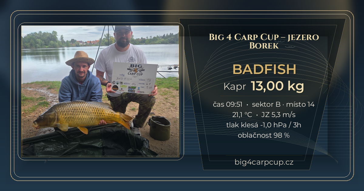 share card BADFISH
