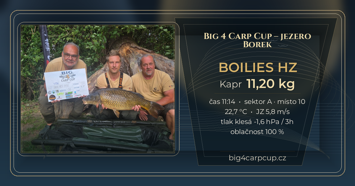 share card BOILIES HZ