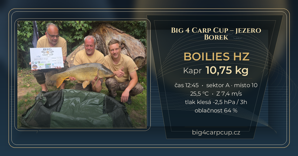 share card BOILIES HZ