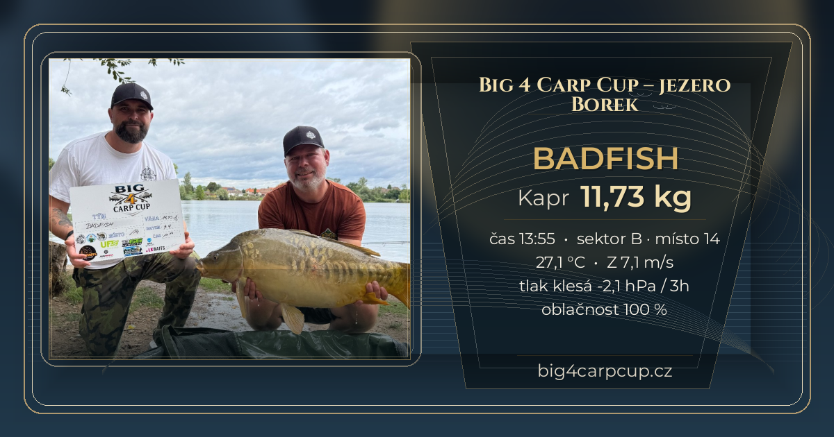share card BADFISH