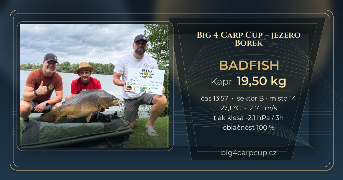 share card BADFISH