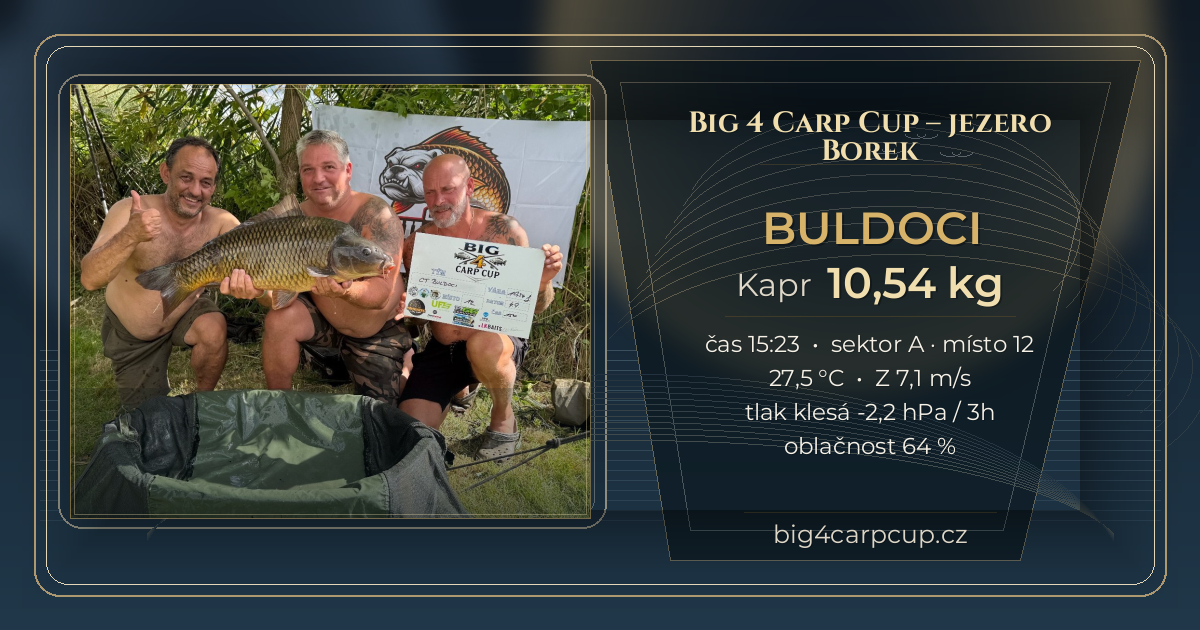 share card BULDOCI