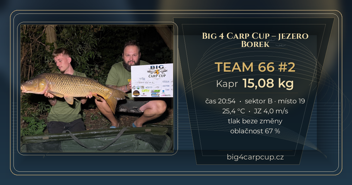 share card TEAM 66 #2