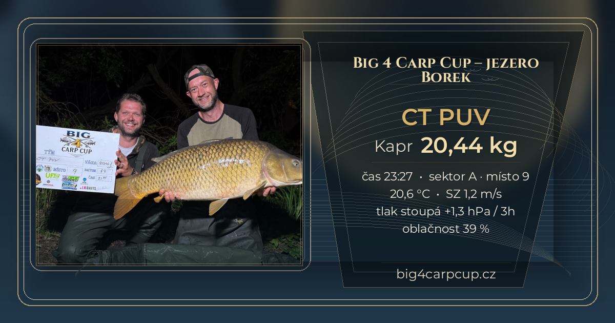 share card CT PUV