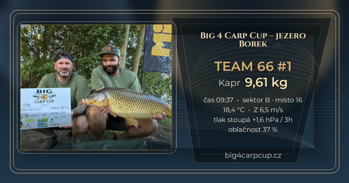share card TEAM 66 #1